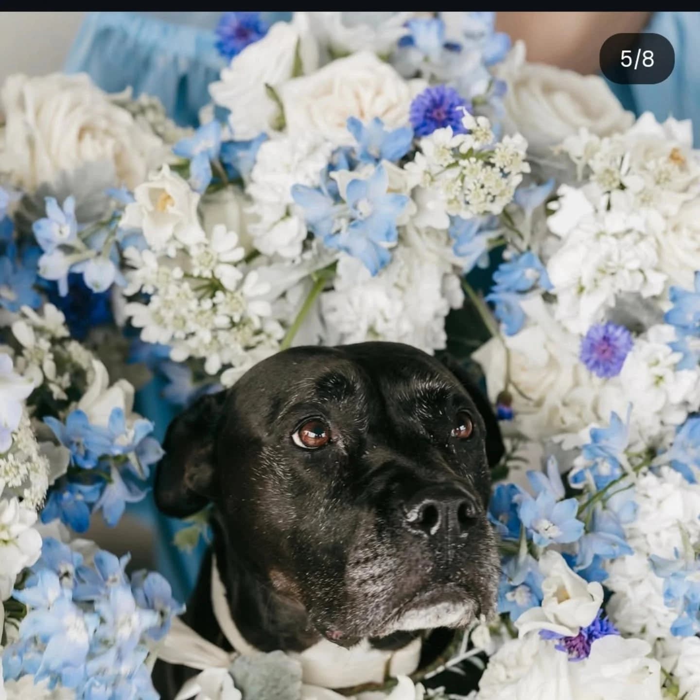 Southern Luxury Cakes - wedding cake baker