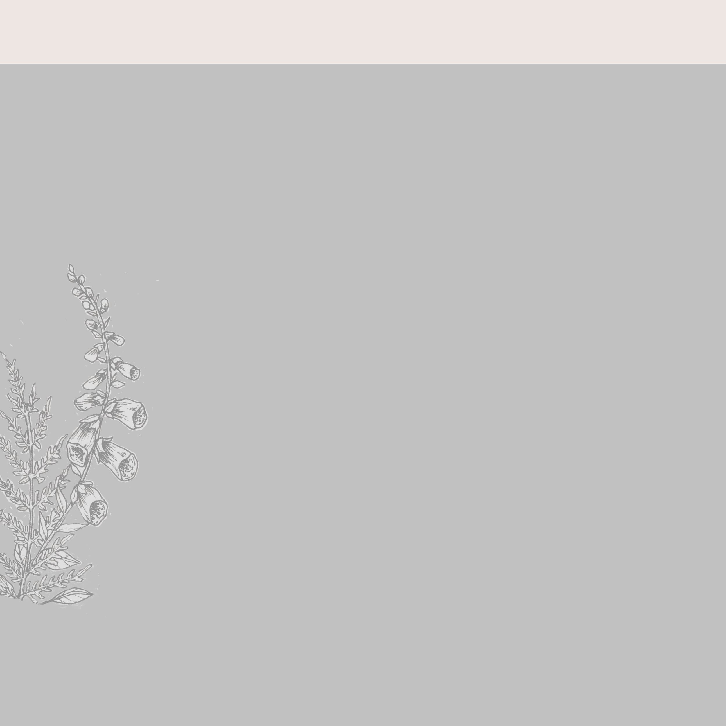 Laurel Creek Florals — Sunset, SC